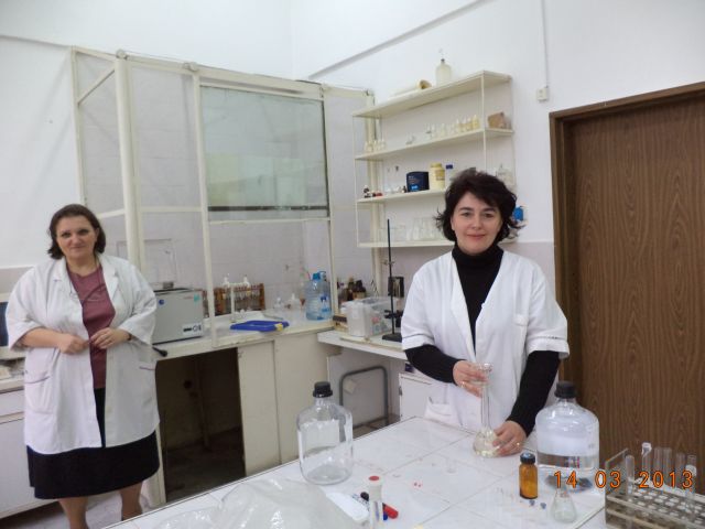 bioethanol activities