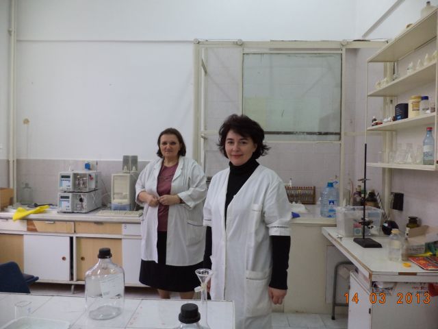 bioethanol activities