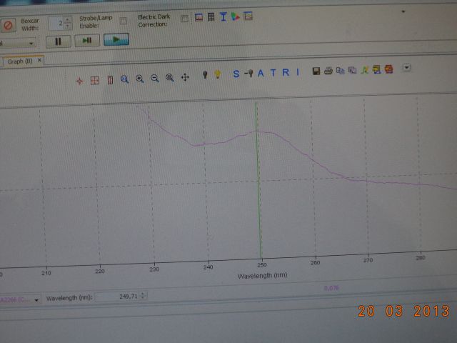 bioethanol activities