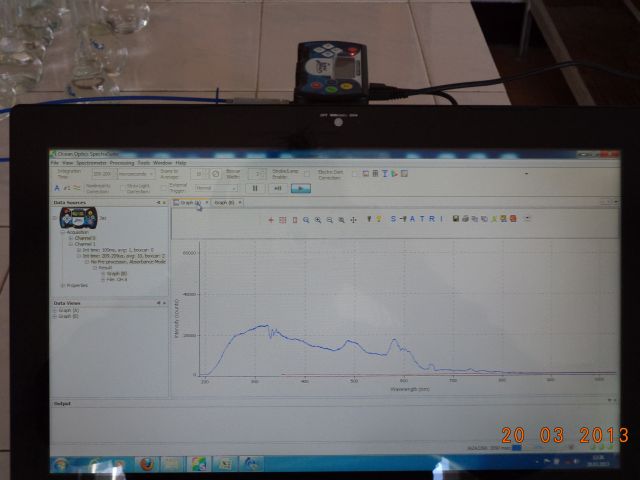 bioethanol activities