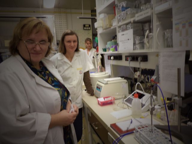 bioethanol activities