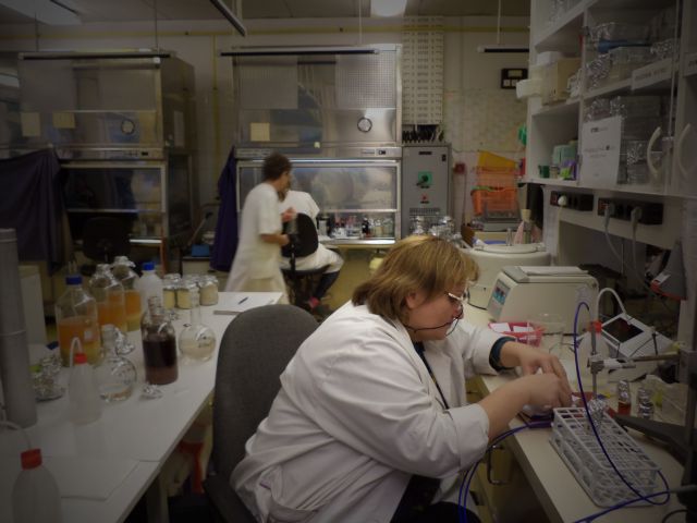 bioethanol activities