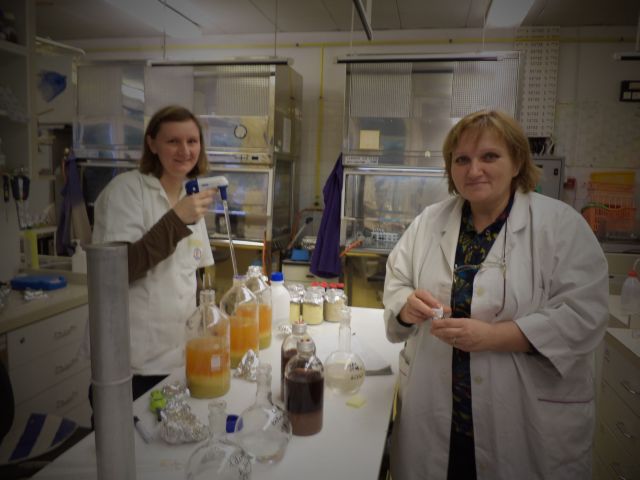 bioethanol activities