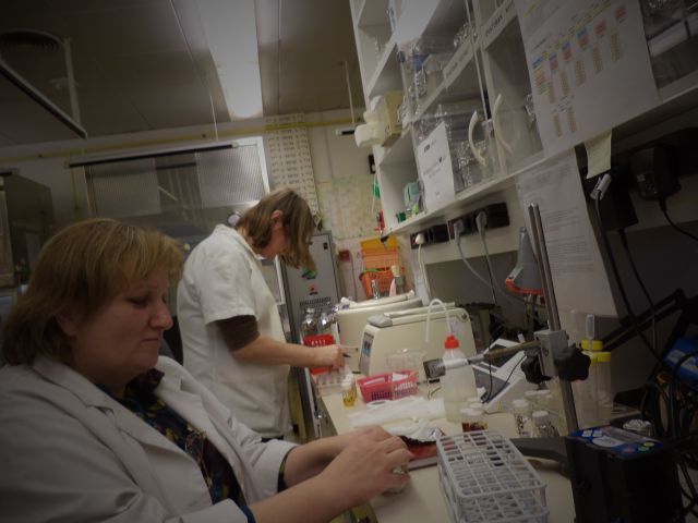 bioethanol activities