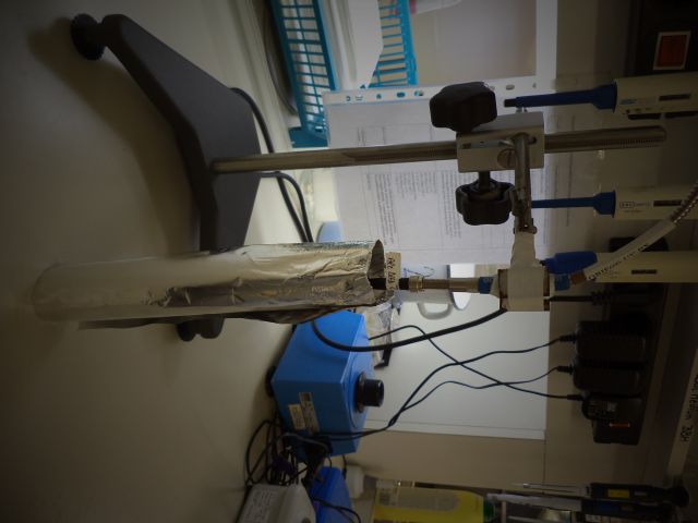 bioethanol activities