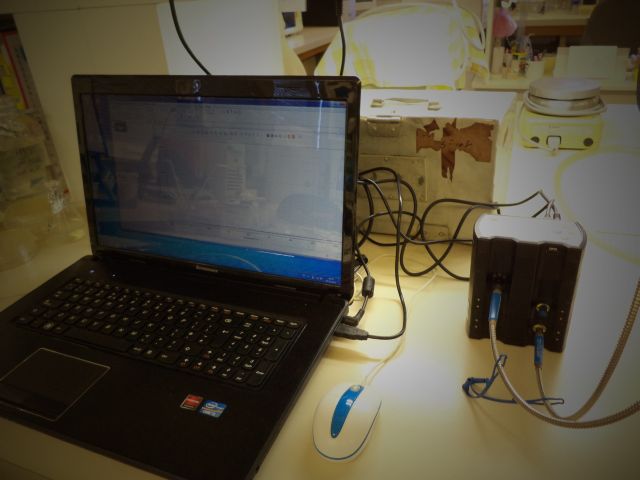 bioethanol activities