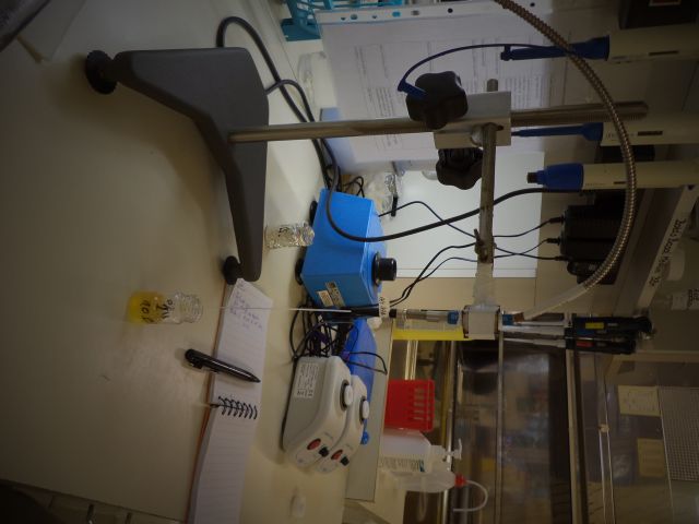 bioethanol activities