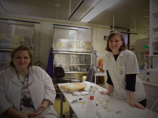 bioethanol activities