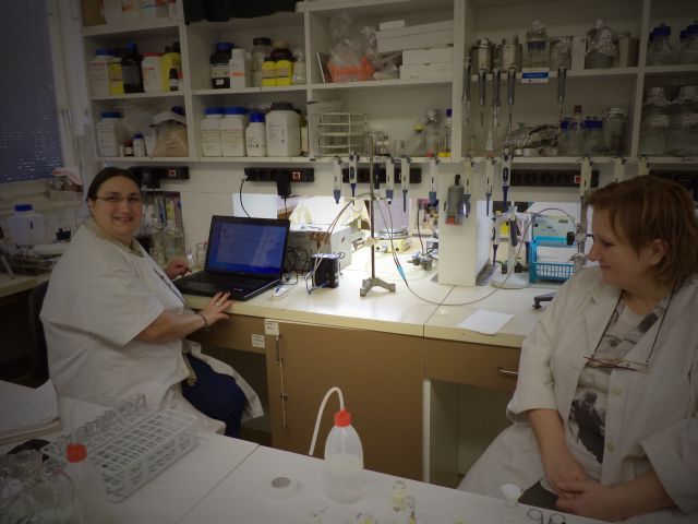 bioethanol activities