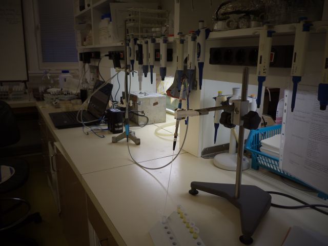 bioethanol activities
