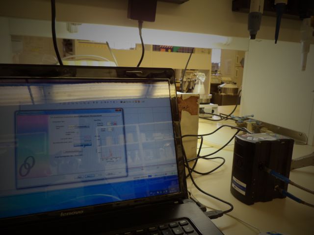 bioethanol activities