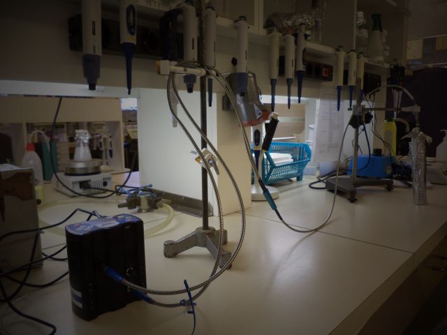 bioethanol activities