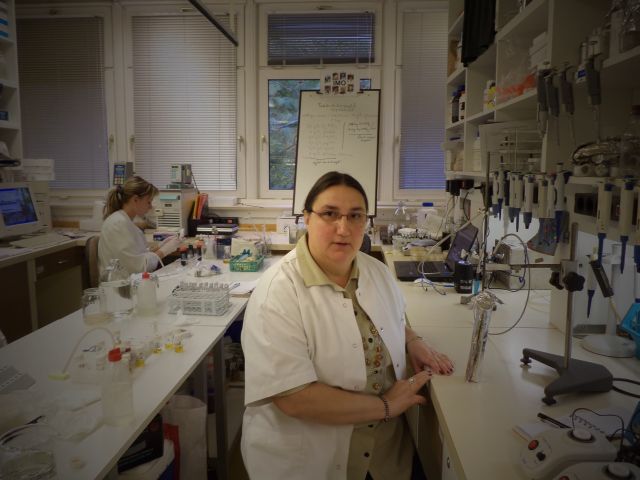 bioethanol activities
